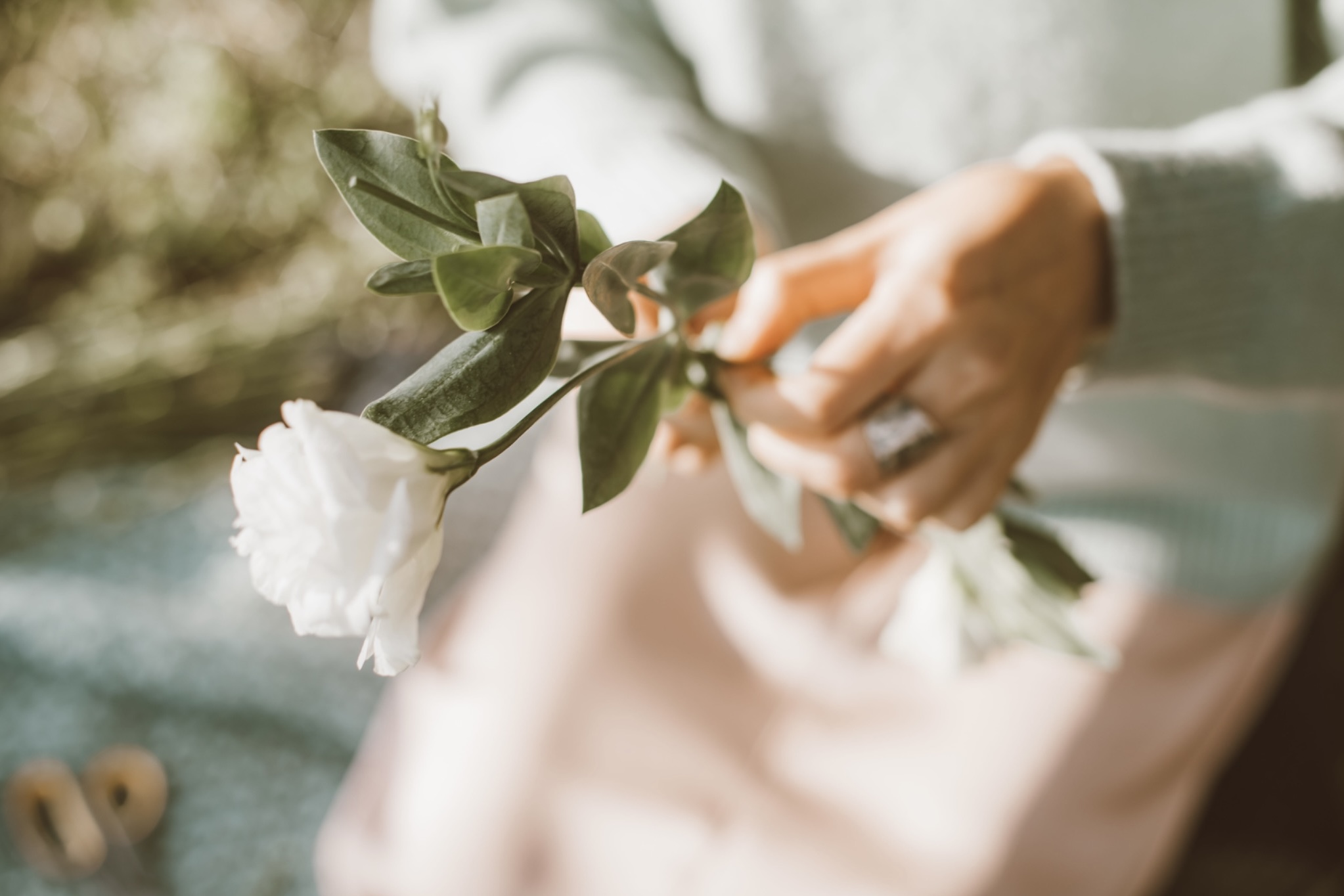 Person holding white roses